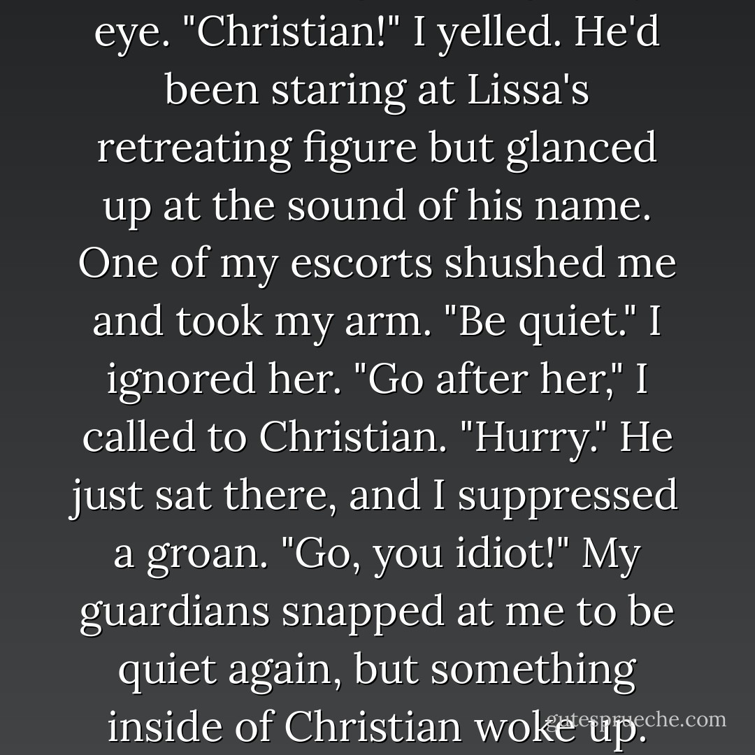 Knowing I wasn't going anywhere, I frantically searched for some way to help her. A dark figure caught my eye. "Christian!" I yelled. He'd been staring at Lissa's retreating figure but glanced up at the sound of his name.<br />One of my escorts shushed me and took my arm. "Be quiet."<br />I ignored her. "Go after her," I called to Christian. "Hurry."<br />He just sat there, and I suppressed a groan.<br />"Go, you idiot!"<br />My guardians snapped at me to be quiet again, but something inside of Christian woke up. Springing up from his lounging position, he tore off in the direction Lissa had traveled. - Richelle Mead