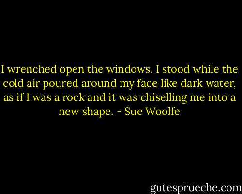I wrenched open the windows. I stood while the cold air poured around my face like dark water, as if I was a rock and it was chiselling me into a new shape. - Sue Woolfe