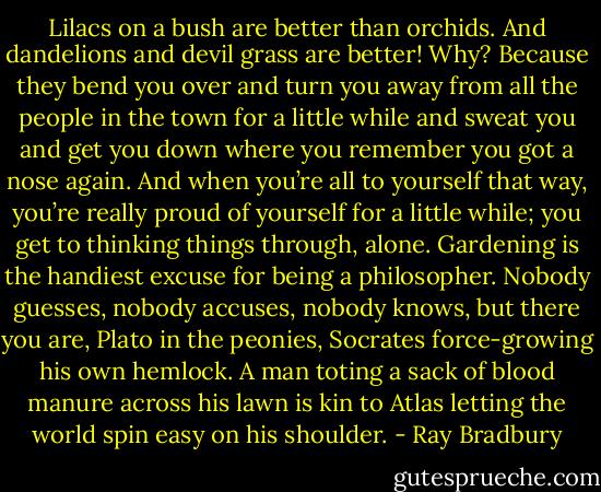 Lilacs on a bush are better than orchids. And dandelions and devil grass are better! Why? Because they bend you over and turn you away from all the people in the town for a little while and sweat you and get you down where you remember you got a nose again. And when you’re all to yourself that way, you’re really proud of yourself for a little while; you get to thinking things through, alone. Gardening is the handiest excuse for being a philosopher. Nobody guesses, nobody accuses, nobody knows, but there you are, Plato in the peonies, Socrates force-growing his own hemlock. A man toting a sack of blood manure across his lawn is kin to Atlas letting the world spin easy on his shoulder. - Ray Bradbury