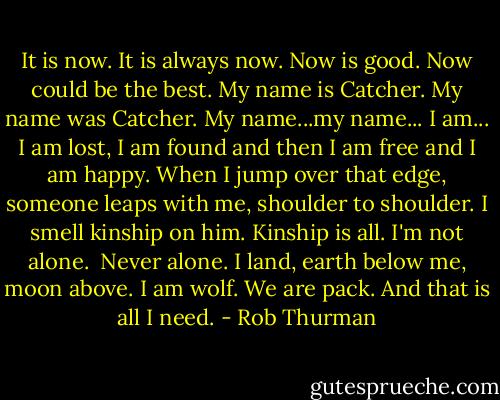 It is now. It is always now. Now is good. Now could be the best. My name is Catcher. My name was Catcher.<br />My name...my name...<br />I am...<br />I am lost, I am found and then I am free and I am happy.<br />When I jump over that edge, someone leaps with me, shoulder to shoulder. I smell kinship on him. Kinship is all. I'm not alone. <br />Never alone.<br />I land, earth below me, moon above. I am wolf. We are pack.<br />And that is all I need. - Rob Thurman