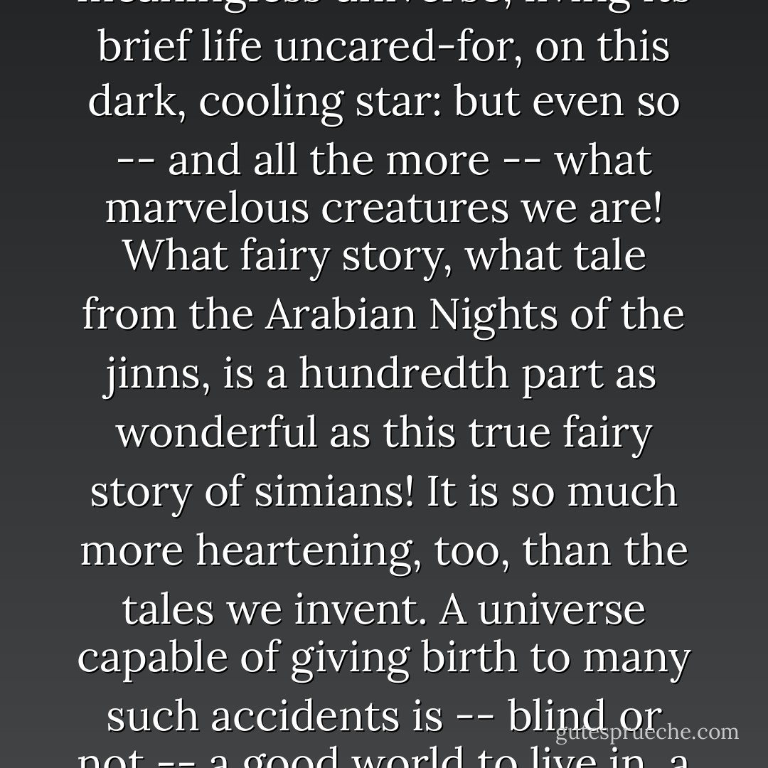 It is possible that our race may be an accident, in a meaningless universe, living its brief life uncared-for, on this dark, cooling star: but even so -- and all the more -- what marvelous creatures we are! What fairy story, what tale from the Arabian Nights of the jinns, is a hundredth part as wonderful as this true fairy story of simians! It is so much more heartening, too, than the tales we invent. A universe capable of giving birth to many such accidents is -- blind or not -- a good world to live in, a promising universe. - Clarence Day Jr.