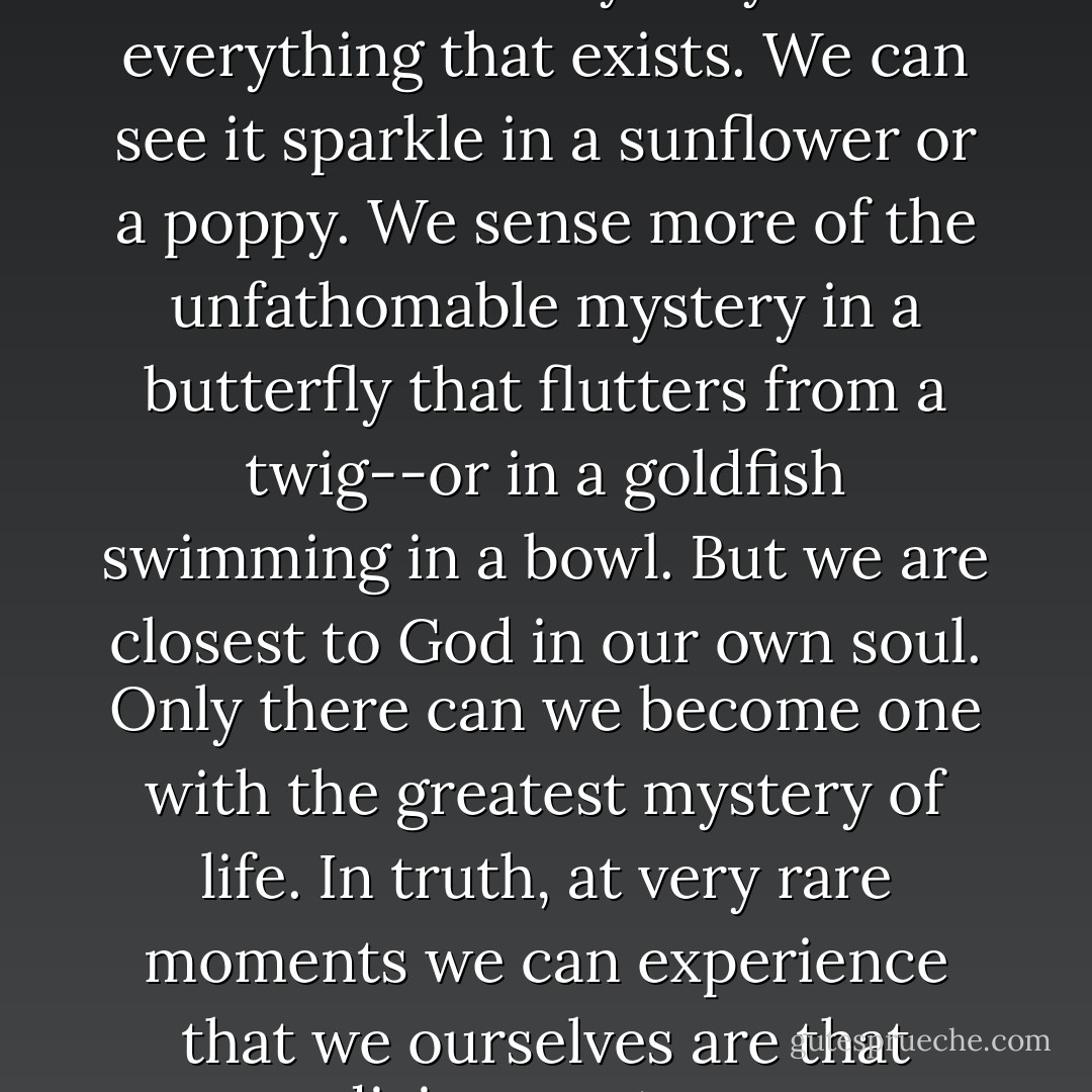 I believe there is something of the divine mystery in everything that exists. We can see it sparkle in a sunflower or a poppy. We sense more of the unfathomable mystery in a butterfly that flutters from a twig--or in a goldfish swimming in a bowl. But we are closest to God in our own soul. Only there can we become one with the greatest mystery of life. In truth, at very rare moments we can experience that we ourselves are that divine mystery. - Jostein Gaarder