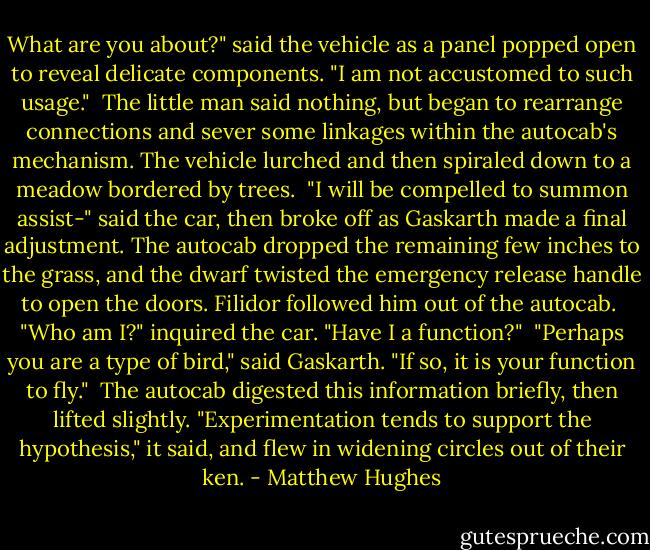 What are you about?" said the vehicle as a panel popped open to reveal delicate components. "I am not accustomed to such usage."<br /><br />The little man said nothing, but began to rearrange connections and sever some linkages within the autocab's mechanism. The vehicle lurched and then spiraled down to a meadow bordered by trees.<br /><br />"I will be compelled to summon assist-" said the car, then broke off as Gaskarth made a final adjustment. The autocab dropped the remaining few inches to the grass, and the dwarf twisted the emergency release handle to open the doors. Filidor followed him out of the autocab.<br /><br />"Who am I?" inquired the car. "Have I a function?"<br /><br />"Perhaps you are a type of bird," said Gaskarth. "If so, it is your function to fly."<br /><br />The autocab digested this information briefly, then lifted slightly. "Experimentation tends to support the hypothesis," it said, and flew in widening circles out of their ken. - Matthew Hughes