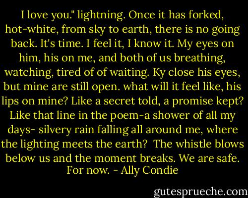 I love you."<br />lightning. Once it has forked, hot-white, from sky to earth, there is no going back.<br />It's time. I feel it, I know it. My eyes on him, his on me, and both of us breathing, watching, tired of of waiting. Ky close his eyes, but mine are still open. what will it feel like, his lips on mine? Like a secret told, a promise kept? Like that line in the poem-a shower of all my days- silvery rain falling all around me, where the lighting meets the earth? <br />The whistle blows below us and the moment breaks. We are safe.<br />For now. - Ally Condie