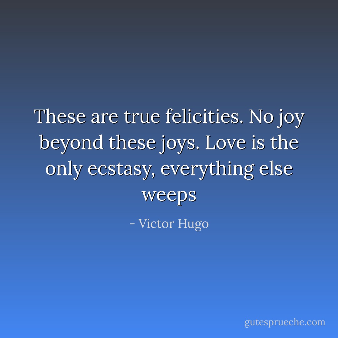 These are true felicities. No joy beyond these joys. Love is the only ecstasy, everything else weeps - Victor Hugo