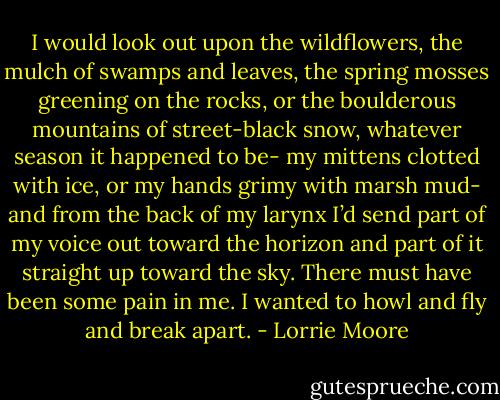 I would look out upon the wildflowers, the mulch of swamps and leaves, the spring mosses greening on the rocks, or the boulderous mountains of street-black snow, whatever season it happened to be- my mittens clotted with ice, or my hands grimy with marsh mud- and from the back of my larynx I’d send part of my voice out toward the horizon and part of it straight up toward the sky. There must have been some pain in me. I wanted to howl and fly and break apart. - Lorrie Moore