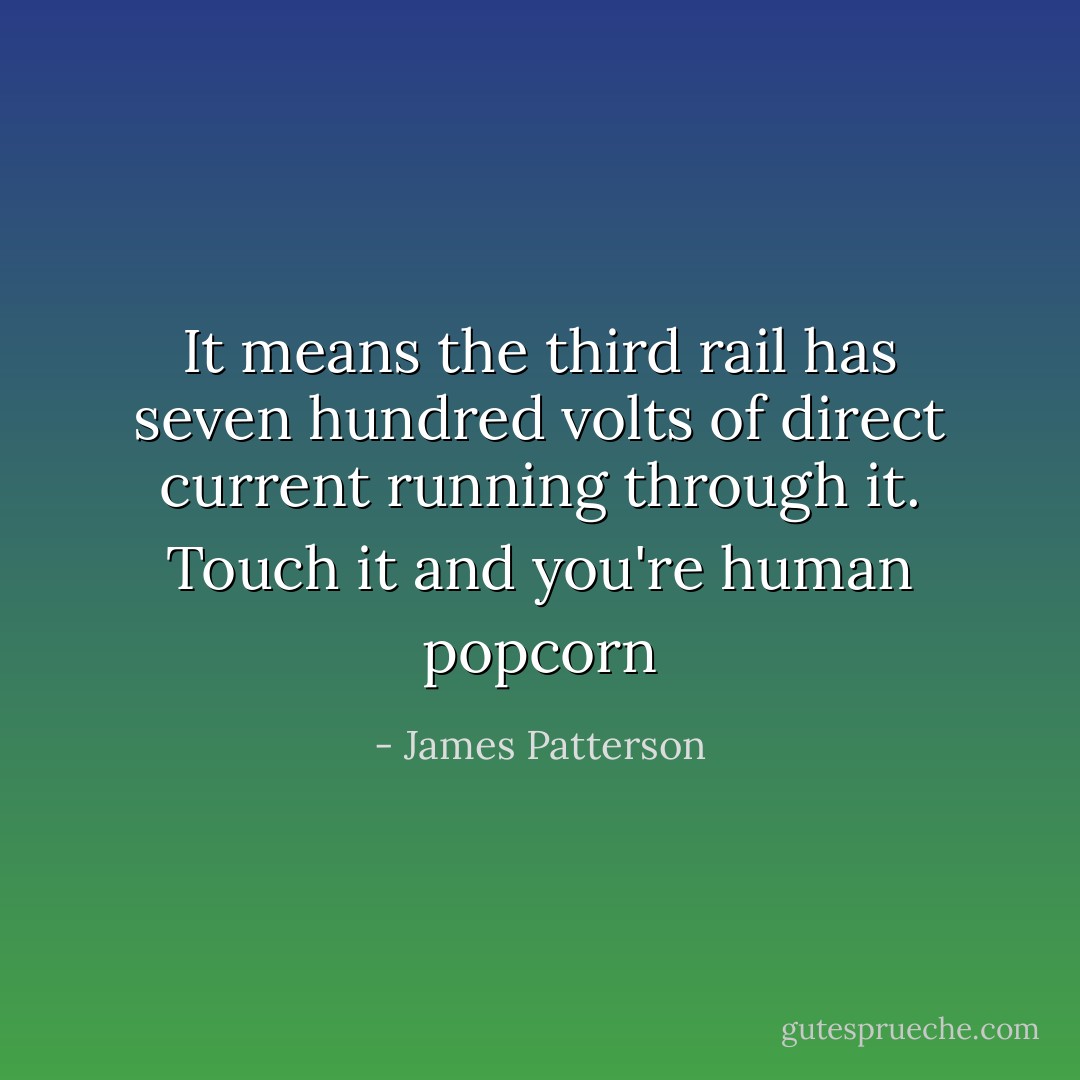 It means the third rail has seven hundred volts of direct current running through it. Touch it and you're human popcorn - James Patterson