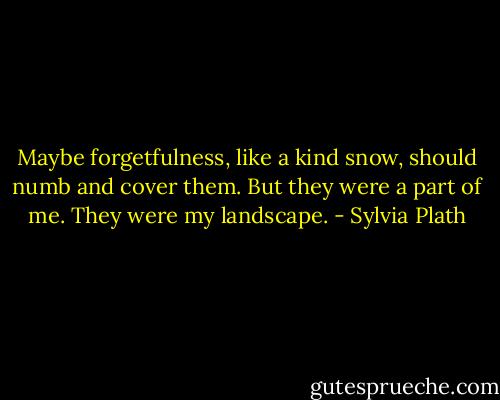 Maybe forgetfulness, like a kind snow, should numb and cover them. But they were a part of me. They were my landscape. - Sylvia Plath