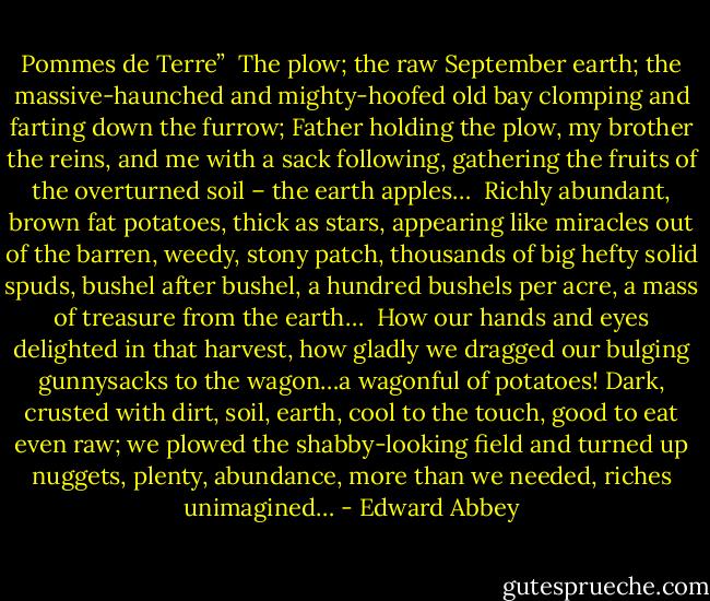 Pommes de Terre”<br /><br />The plow; the raw September earth; the massive-haunched and mighty-hoofed old bay clomping and farting down the furrow; Father holding the plow, my brother the reins, and me with a sack following, gathering the fruits of the overturned soil – the earth apples…<br /><br />Richly abundant, brown fat potatoes, thick as stars, appearing like miracles out of the barren, weedy, stony patch, thousands of big hefty solid spuds, bushel after bushel, a hundred bushels per acre, a mass of treasure from the earth…<br /><br />How our hands and eyes delighted in that harvest, how gladly we dragged our bulging gunnysacks to the wagon…a wagonful of potatoes! Dark, crusted with dirt, soil, earth, cool to the touch, good to eat even raw; we plowed the shabby-looking field and turned up nuggets, plenty, abundance, more than we needed, riches unimagined… - Edward Abbey