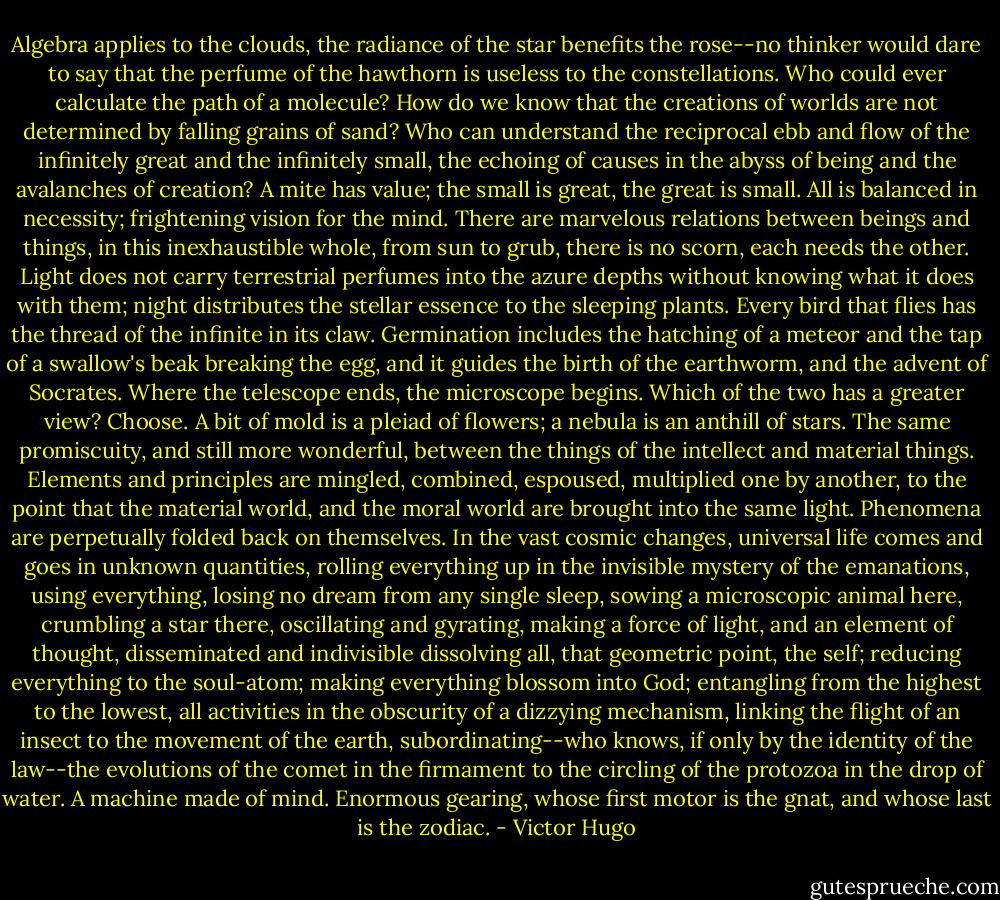Algebra applies to the clouds, the radiance of the star benefits the rose--no thinker would dare to say that the perfume of the hawthorn is useless to the constellations. Who could ever calculate the path of a molecule? How do we know that the creations of worlds are not determined by falling grains of sand? Who can understand the reciprocal ebb and flow of the infinitely great and the infinitely small, the echoing of causes in the abyss of being and the avalanches of creation? A mite has value; the small is great, the great is small. All is balanced in necessity; frightening vision for the mind. There are marvelous relations between beings and things, in this inexhaustible whole, from sun to grub, there is no scorn, each needs the other. Light does not carry terrestrial perfumes into the azure depths without knowing what it does with them; night distributes the stellar essence to the sleeping plants. Every bird that flies has the thread of the infinite in its claw. Germination includes the hatching of a meteor and the tap of a swallow's beak breaking the egg, and it guides the birth of the earthworm, and the advent of Socrates. Where the telescope ends, the microscope begins. Which of the two has a greater view? Choose. A bit of mold is a pleiad of flowers; a nebula is an anthill of stars. The same promiscuity, and still more wonderful, between the things of the intellect and material things. Elements and principles are mingled, combined, espoused, multiplied one by another, to the point that the material world, and the moral world are brought into the same light. Phenomena are perpetually folded back on themselves. In the vast cosmic changes, universal life comes and goes in unknown quantities, rolling everything up in the invisible mystery of the emanations, using everything, losing no dream from any single sleep, sowing a microscopic animal here, crumbling a star there, oscillating and gyrating, making a force of light, and an element of thought, disseminated and indivisible dissolving all, that geometric point, the self; reducing everything to the soul-atom; making everything blossom into God; entangling from the highest to the lowest, all activities in the obscurity of a dizzying mechanism, linking the flight of an insect to the movement of the earth, subordinating--who knows, if only by the identity of the law--the evolutions of the comet in the firmament to the circling of the protozoa in the drop of water. A machine made of mind. Enormous gearing, whose first motor is the gnat, and whose last is the zodiac. - Victor Hugo