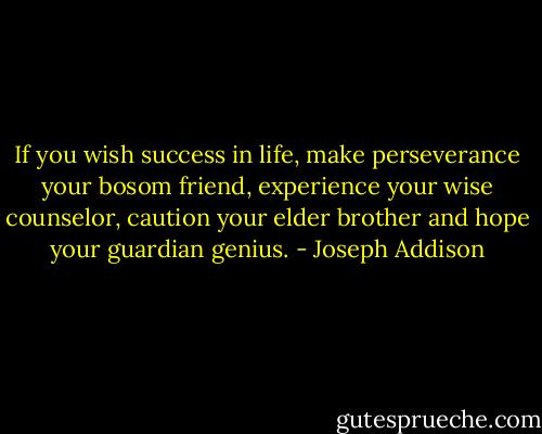 If you wish success in life, make perseverance your bosom friend, experience your wise counselor, caution your elder brother and hope your guardian genius. - Joseph Addison