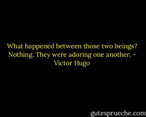 What happened between those two beings? Nothing. They were adoring one another. - Victor Hugo