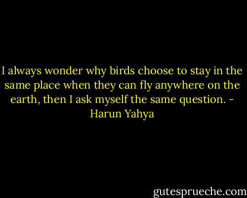 I always wonder why birds choose to stay in the same place when they can fly anywhere on the earth, then I ask myself the same question. - Harun Yahya