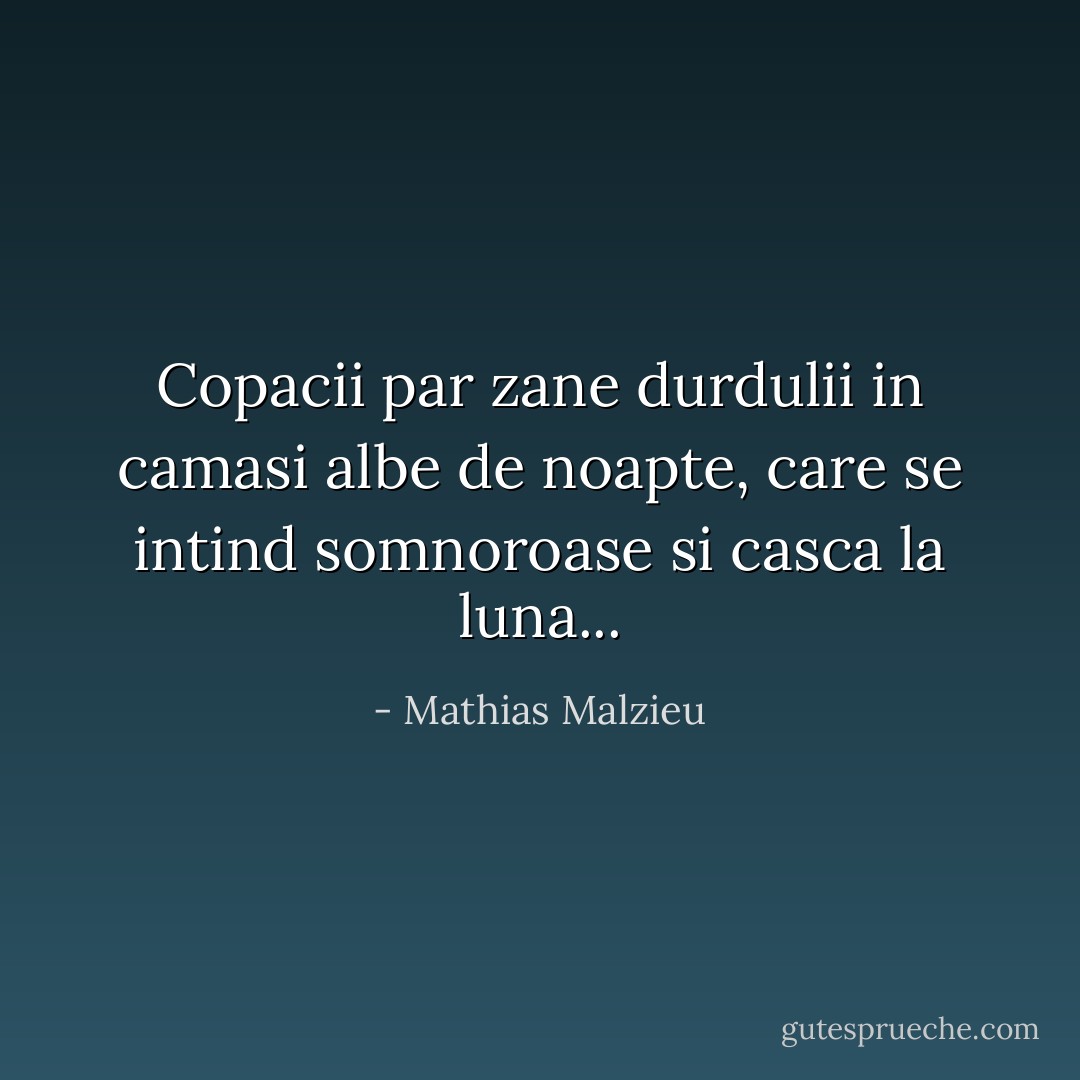 Copacii par zane durdulii in camasi albe de noapte, care se intind somnoroase si casca la luna... - Mathias Malzieu