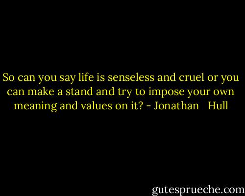 So can you say life is senseless and cruel or you can make a stand and try to impose your own meaning and values on it? - Jonathan   Hull