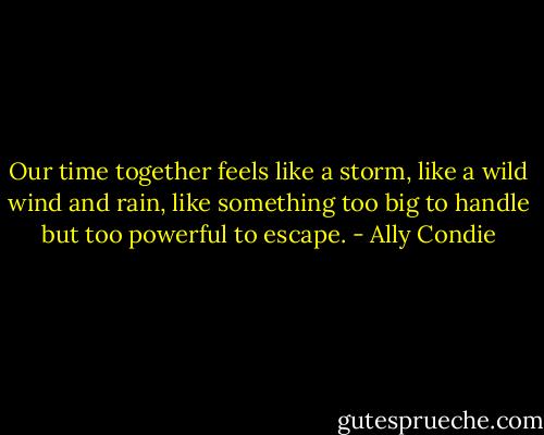 Our time together feels like a storm, like a wild wind and rain, like something too big to handle but too powerful to escape. - Ally Condie