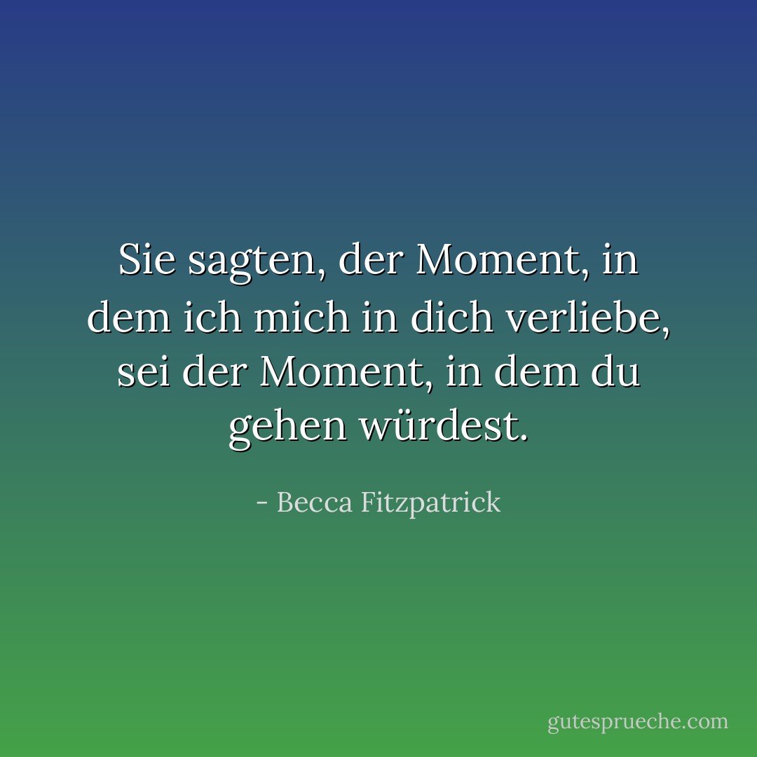 Sie sagten, der Moment, in dem ich mich in dich verliebe, sei der Moment, in dem du gehen würdest. - Becca Fitzpatrick<