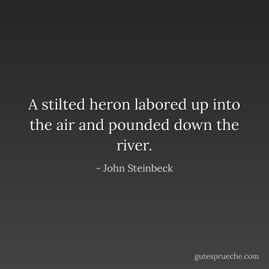 A stilted heron labored up into the air and pounded down the river. - John Steinbeck