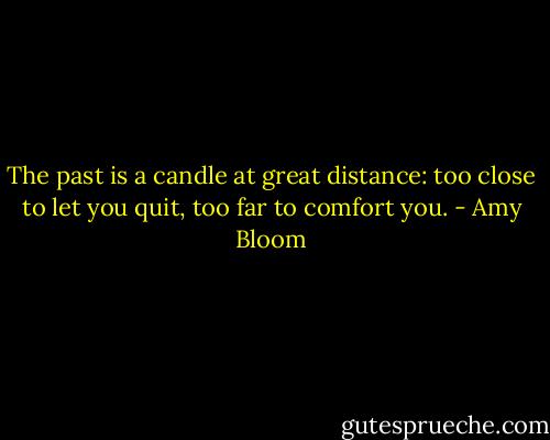 The past is a candle at great distance: too close to let you quit, too far to comfort you. - Amy Bloom