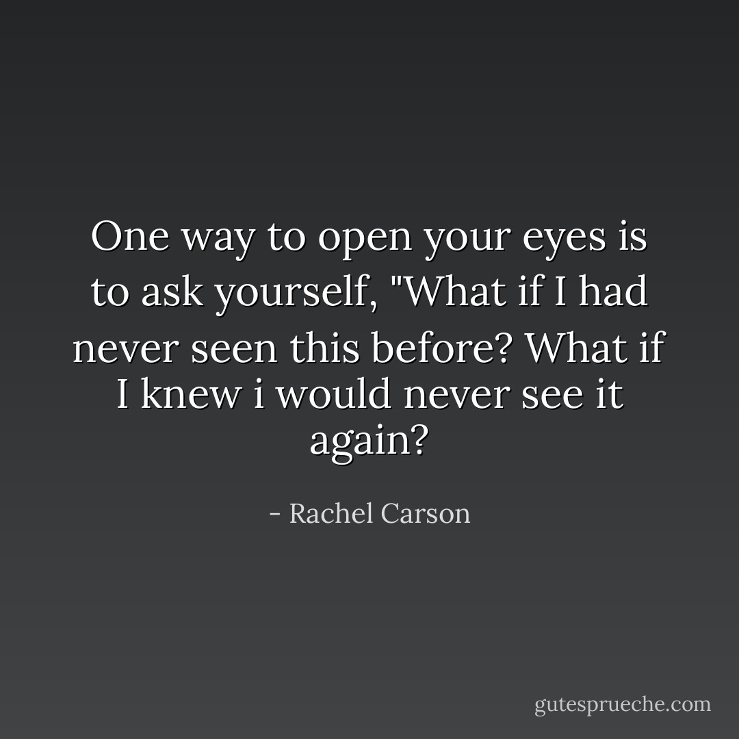 One way to open your eyes is to ask yourself, "What if I had never seen this before? What if I knew i would never see it again? - Rachel Carson