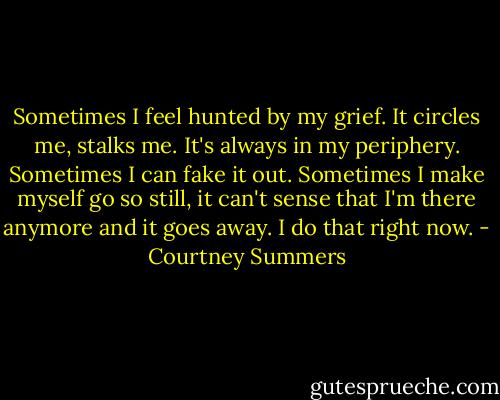 Sometimes I feel hunted by my grief. It circles me, stalks me. It's always in my periphery. Sometimes I can fake it out. Sometimes I make myself go so still, it can't sense that I'm there anymore and it goes away. I do that right now. - Courtney Summers