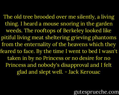 The old tree brooded over me silently, a living thing. I heard a mouse snoring in the garden weeds. The rooftops of Berkeley looked like pitiful living meat sheltering grieving phantoms from the enternality of the heavens which they feared to face. By the time I went to bed I wasn't taken in by no Princess or no desire for no Princess and nobody's disapproval and I felt glad and slept well. - Jack Kerouac
