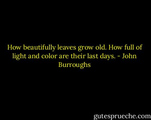 How beautifully leaves grow old. How full of light and color are their last days. - John Burroughs