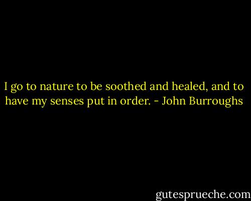 I go to nature to be soothed and healed, and to have my senses put in order. - John Burroughs