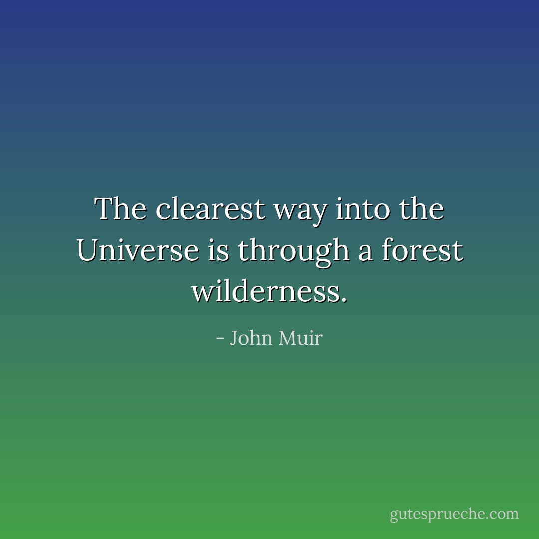 The clearest way into the Universe is through a forest wilderness. - John Muir