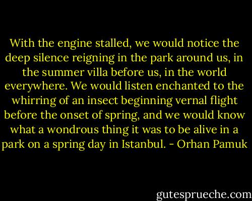 With the engine stalled, we would notice the deep silence reigning in the park around us, in the summer villa before us, in the world everywhere. We would listen enchanted to the whirring of an insect beginning vernal flight before the onset of spring, and we would know what a wondrous thing it was to be alive in a park on a spring day in Istanbul. - Orhan Pamuk
