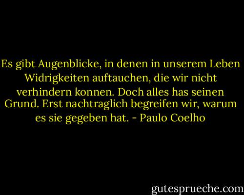 Es gibt Augenblicke, in denen in unserem Leben Widrigkeiten auftauchen, die wir nicht verhindern konnen. Doch alles has seinen Grund. Erst nachtraglich begreifen wir, warum es sie gegeben hat. - Paulo Coelho