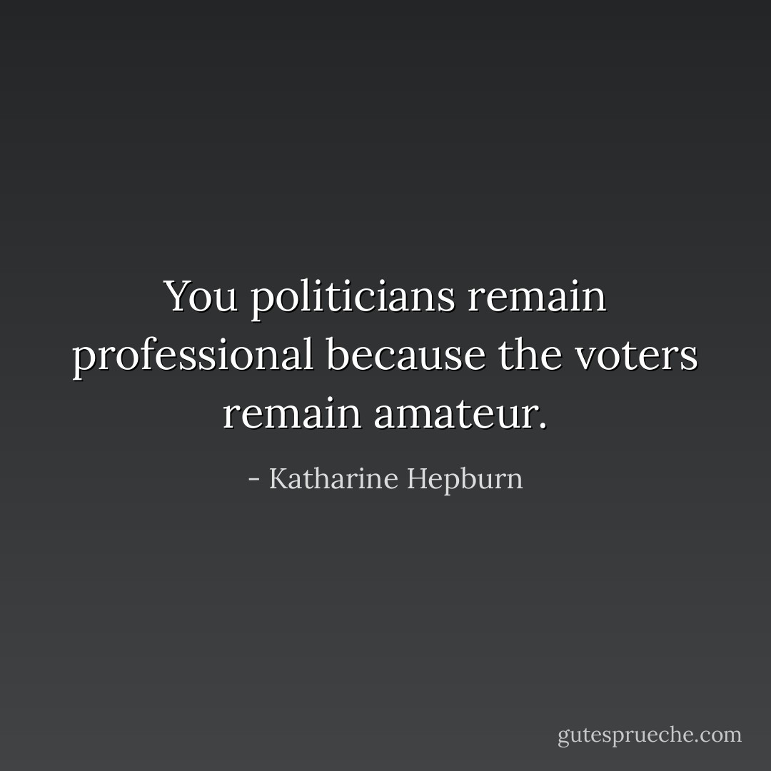 You politicians remain professional because the voters remain amateur. - Katharine Hepburn