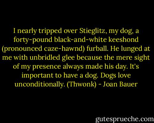I nearly tripped over Stieglitz, my dog, a forty-pound black-and-white keeshond (pronounced caze-hawnd) furball. He lunged at me with unbridled glee because the mere sight of my presence always made his day. It's important to have a dog. Dogs love unconditionally. (Thwonk) - Joan Bauer
