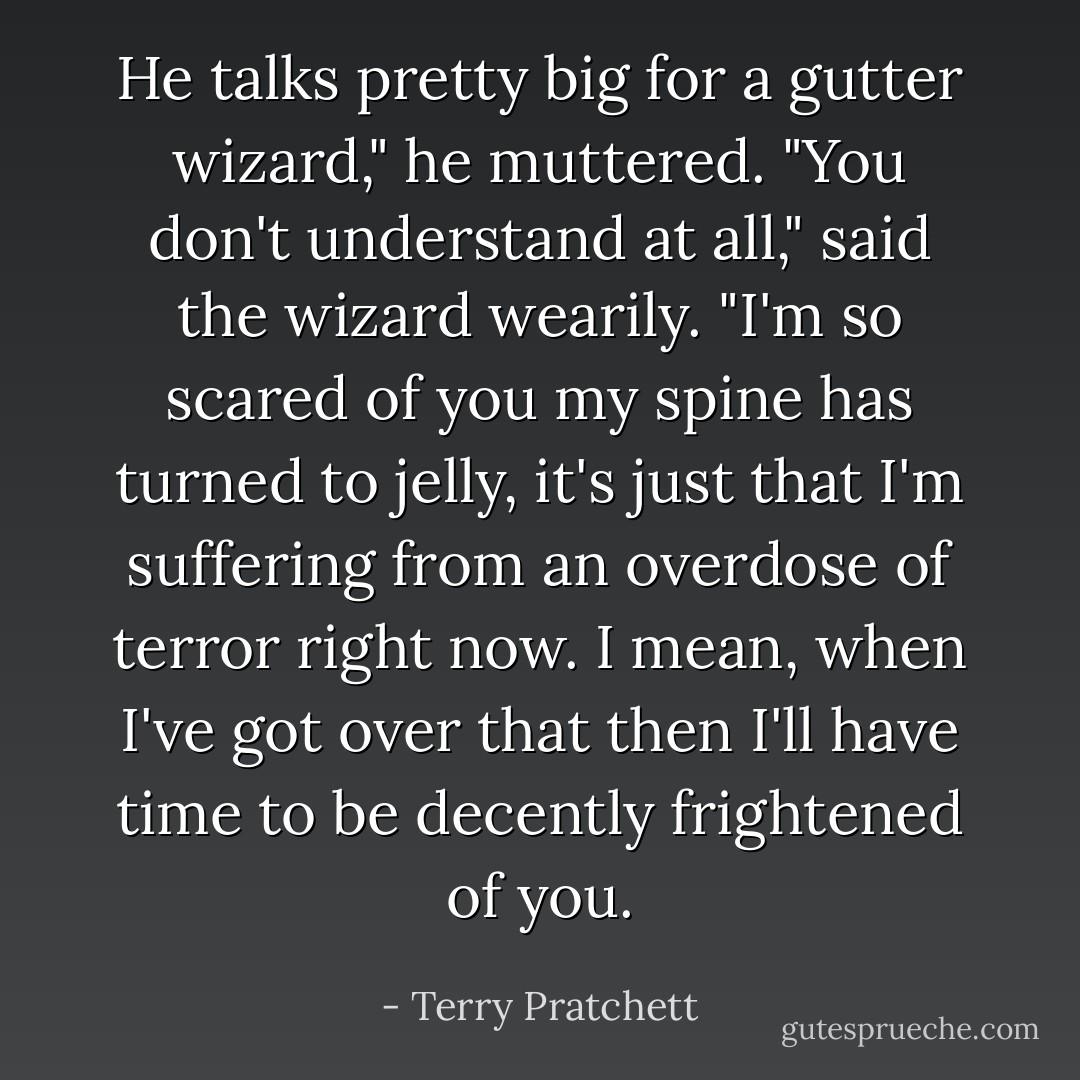 He talks pretty big for a gutter wizard," he muttered.<br />"You don't understand at all," said the wizard wearily. "I'm so scared of you my spine has turned to jelly, it's just that I'm suffering from an overdose of terror right now. I mean, when I've got over that then I'll have time to be decently frightened of you. - Terry Pratchett