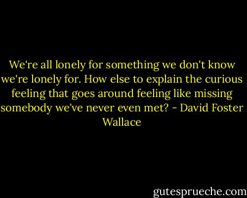 We're all lonely for something we don't know we're lonely for. How else to explain the curious feeling that goes around feeling like missing somebody we've never even met? - David Foster Wallace
