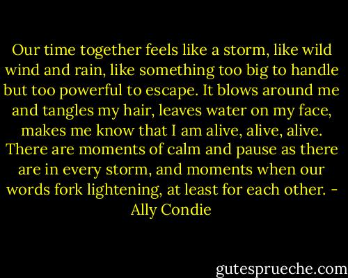 Our time together feels like a storm, like wild wind and rain, like something too big to handle but too powerful to escape. It blows around me and tangles my hair, leaves water on my face, makes me know that I am alive, alive, alive. There are moments of calm and pause as there are in every storm, and moments when our words fork lightening, at least for each other. - Ally Condie