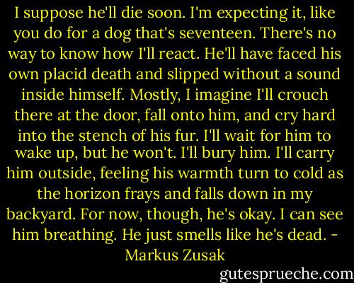 I suppose he'll die soon. I'm expecting it, like you do for a dog that's seventeen. There's no way to know how I'll react. He'll have faced his own placid death and slipped without a sound inside himself. Mostly, I imagine I'll crouch there at the door, fall onto him, and cry hard into the stench of his fur. I'll wait for him to wake up, but he won't. I'll bury him. I'll carry him outside, feeling his warmth turn to cold as the horizon frays and falls down in my backyard. For now, though, he's okay. I can see him breathing. He just smells like he's dead. - Markus Zusak