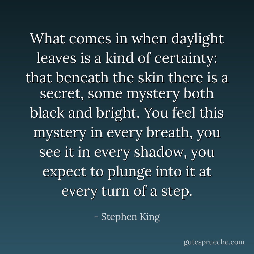 What comes in when daylight leaves is a kind of certainty: that beneath the skin there is a secret, some mystery both black and bright. You feel this mystery in every breath, you see it in every shadow, you expect to plunge into it at every turn of a step. - Stephen King
