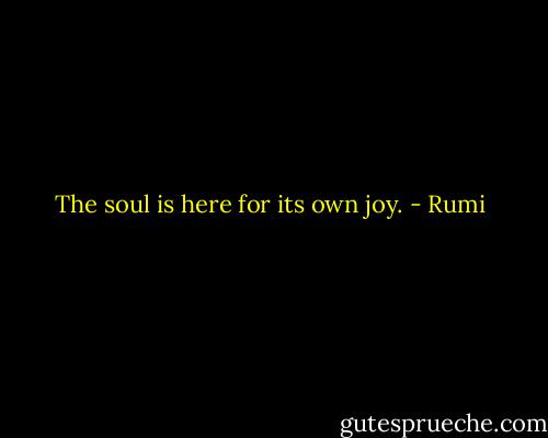 The soul is here for its own joy. - Rumi