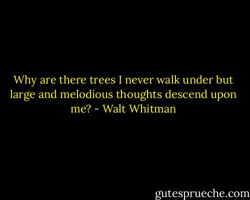 Why are there trees I never walk under but large and melodious thoughts descend upon me? - Walt Whitman