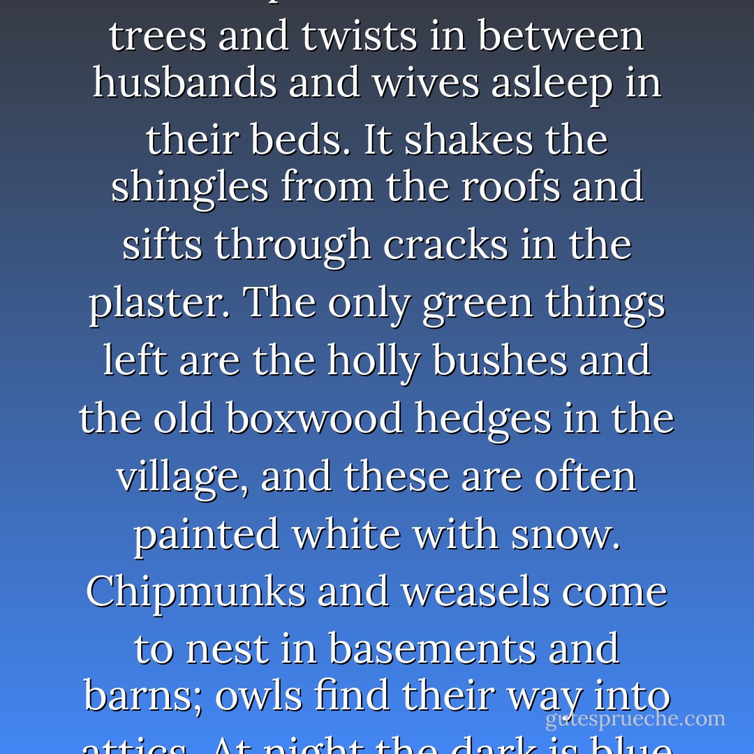 When the cold comes to New England it arrives in sheets of sleet and ice. In December, the wind wraps itself around bare trees and twists in between husbands and wives asleep in their beds. It shakes the shingles from the roofs and sifts through cracks in the plaster. The only green things left are the holly bushes and the old boxwood hedges in the village, and these are often painted white with snow. Chipmunks and weasels come to nest in basements and barns; owls find their way into attics. At night,the dark is blue and bluer still, as sapphire of night. - Alice Hoffman