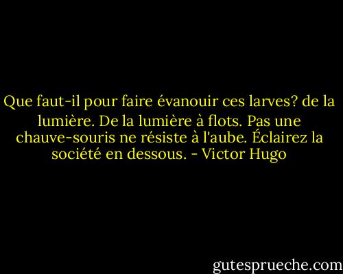 Que faut-il pour faire évanouir ces larves? de la lumière. De la lumière à flots. Pas une chauve-souris ne résiste à l'aube. Éclairez la société en dessous. - Victor Hugo
