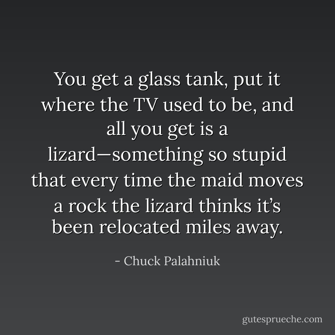 You get a glass tank, put it where the TV used to be, and all you get is a lizard—something so<br />stupid that every time the maid moves a rock the lizard thinks it’s been relocated miles away. - Chuck Palahniuk