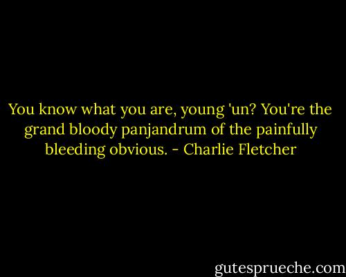 You know what you are, young 'un? You're the grand bloody panjandrum of the painfully bleeding obvious. - Charlie Fletcher