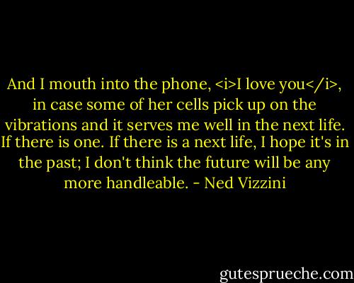And I mouth into the phone, <i>I love you</i>, in case some of her cells pick up on the vibrations and it serves me well in the next life. If there is one. If there is a next life, I hope it's in the past; I don't think the future will be any more handleable. - Ned Vizzini