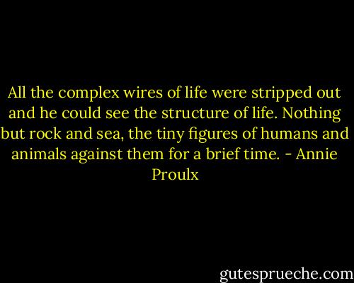 All the complex wires of life were stripped out and he could see the structure of life. Nothing but rock and sea, the tiny figures of humans and animals against them for a brief time. - Annie Proulx