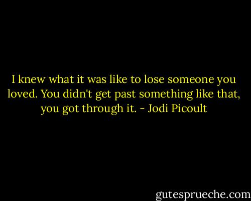 I knew what it was like to lose someone you loved. You didn't get past something like that, you got through it. - Jodi Picoult