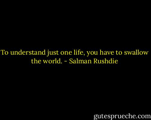 To understand just one life, you have to swallow the world. - Salman Rushdie