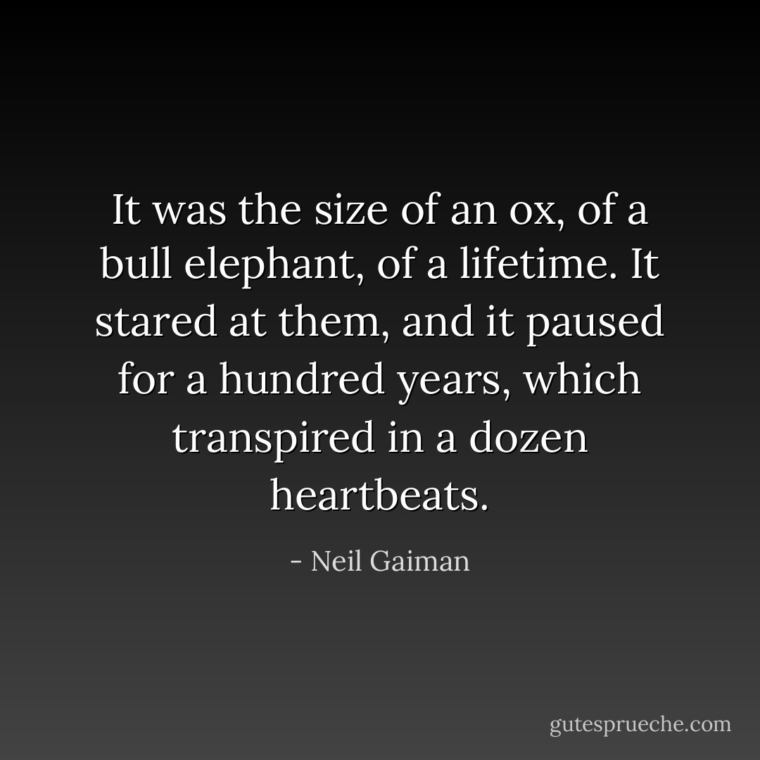 It was the size of an ox, of a bull elephant, of a lifetime. It stared at them, and it paused for a hundred years, which transpired in a dozen heartbeats. - Neil Gaiman