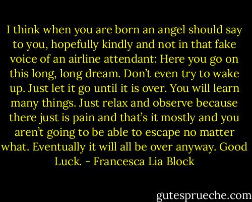I think when you are born an angel should say to you, hopefully kindly and not in that fake voice of an airline attendant: Here you go on this long, long dream. Don’t even try to wake up. Just let it go until it is over. You will learn many things. Just relax and observe because there just is pain and that’s it mostly and you aren’t going to be able to escape no matter what. Eventually it will all be over anyway. Good Luck. - Francesca Lia Block